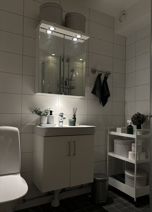Bathroom details